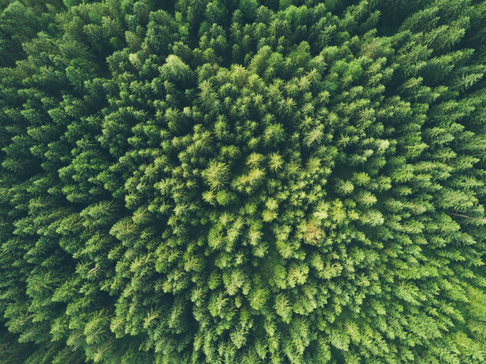 Was bedeutet ESG für die Hausverwaltung? | Pflichten & Maßnahmen 2026